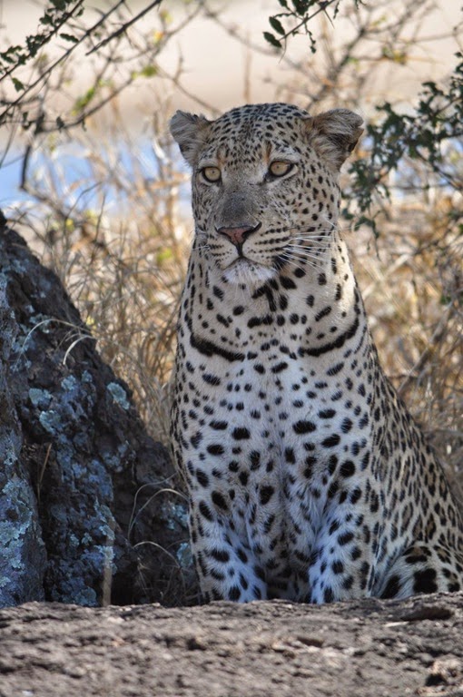 [10542404_10153128564596165_1400108673825783669_o%255B7%255D.jpg]