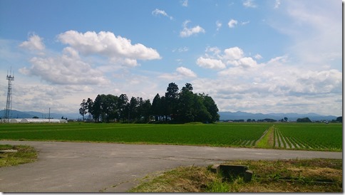 DSC_0304 DSC_0304