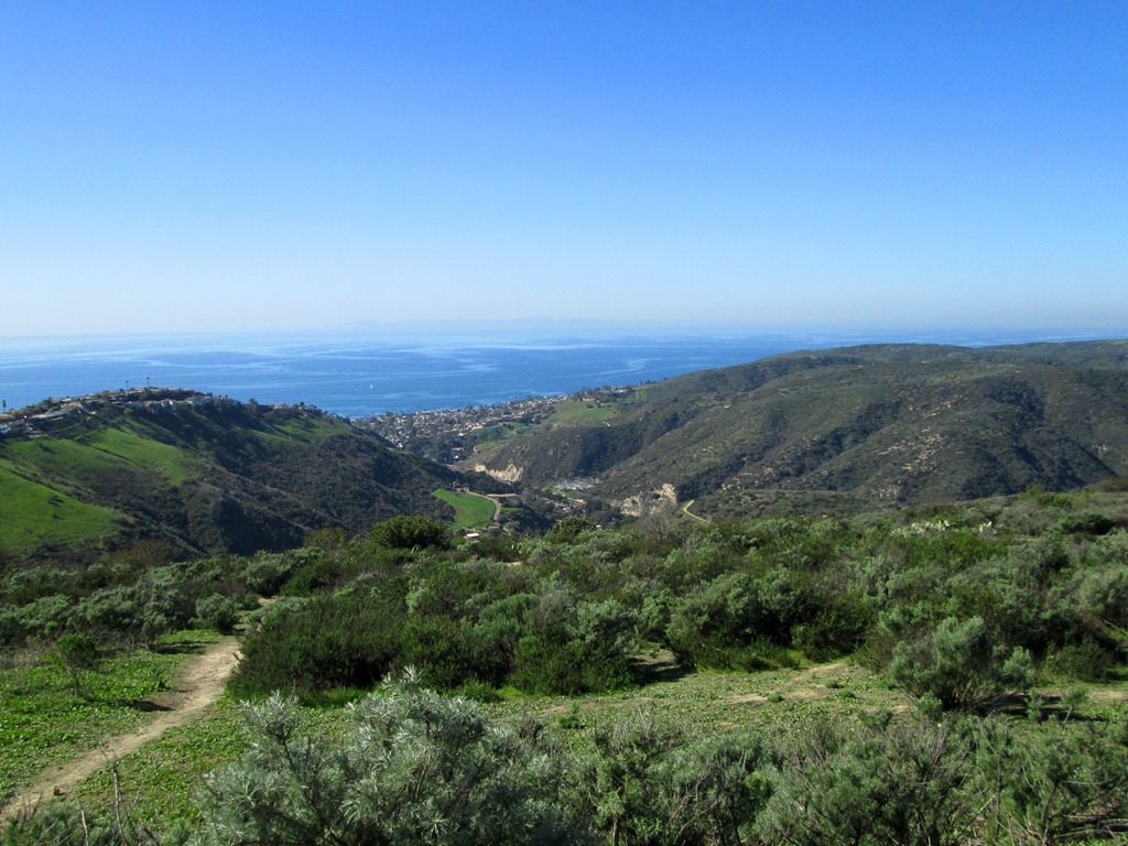[IMG_38994.jpg]