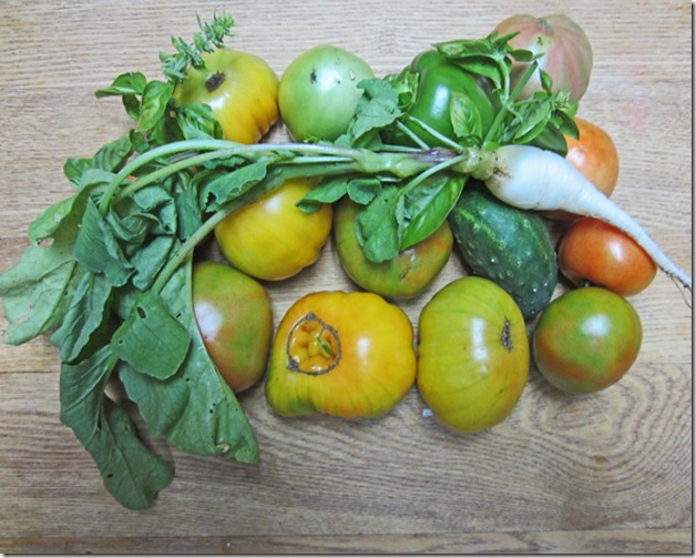 Tomatoes and a radish