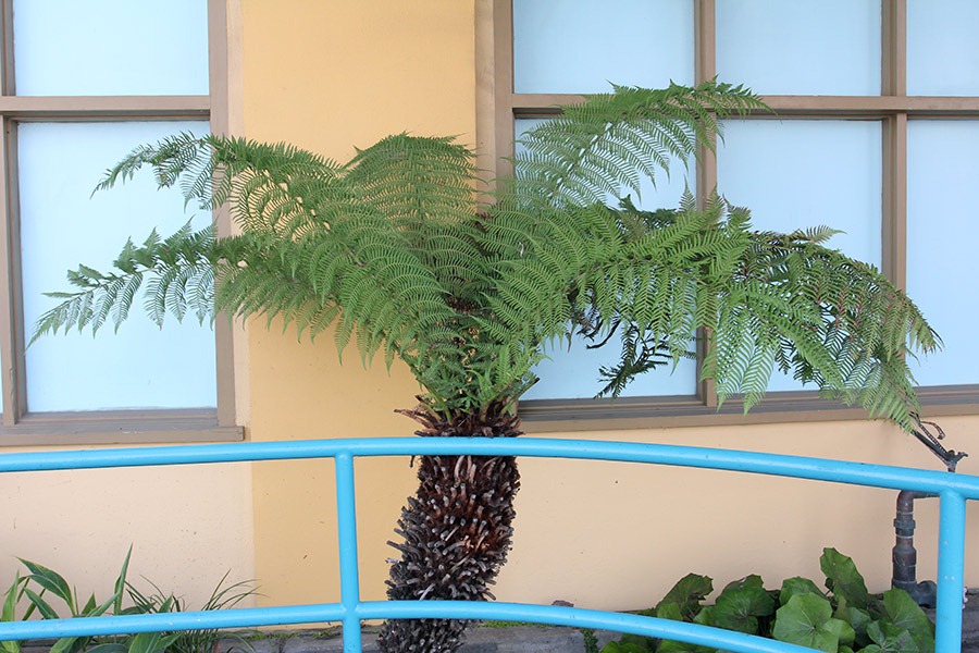 [111015_Santa-Cruz_25%255B2%255D.jpg]