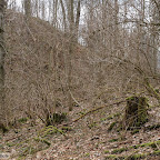 singold-bote_waldlehrpfad-schwabegg_019.jpg