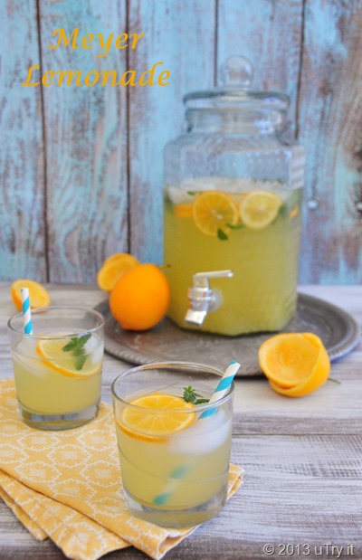 Meyer Lemonade  http://uTry.it