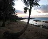 img_0871_0074
