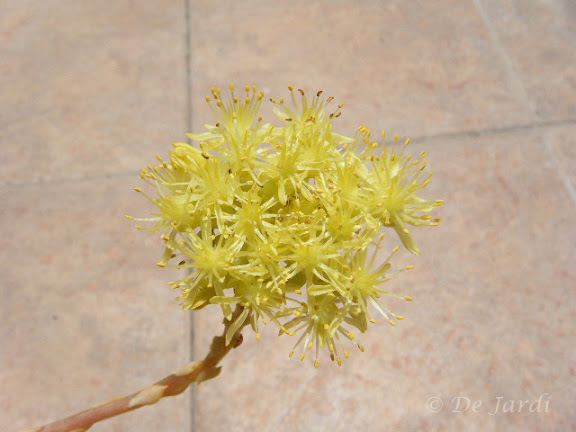 2012_07130001.jpg