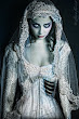 Dark Beauty Merried
