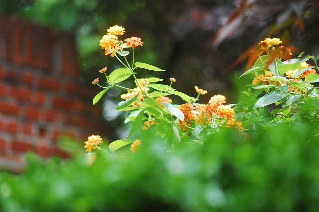 [DSC_0617%255B12%255D.jpg]