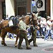 BU_Alpini049.jpg