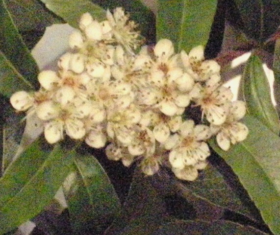 [DSCN29229.jpg]