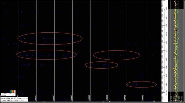 1545573_153398348167017_2335456607361797392_n 1545573_153398348167017_2335456607361797392_n