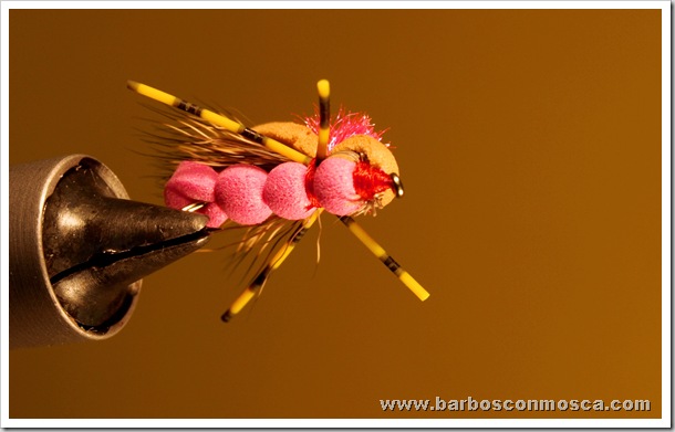 www.barbosconmosca.com