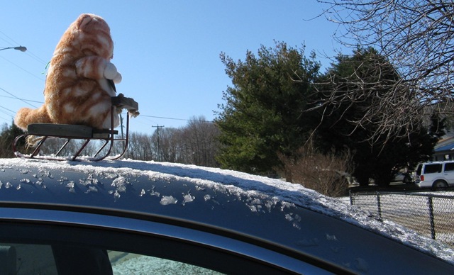 [IMG_9085cropped6%255B2%255D.jpg]