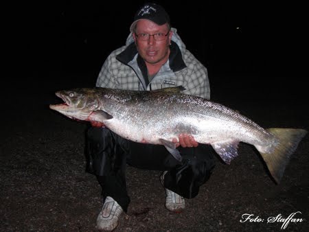 [tony137%255B2%255D.jpg]