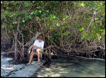 5b10 - Tour - Coral Cove - Syl on Mangroves