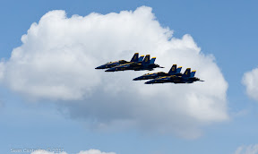DSC01541.jpg