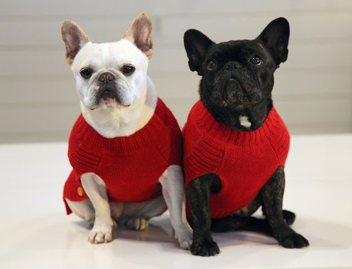 What better color for the holidays that bright red?