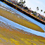 Bolsa Chica Wetlands