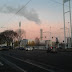 Alba coc co2