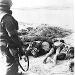 Deadgvietcong3.jpg