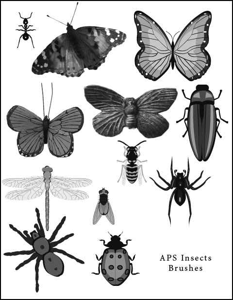 Free set of Brushes for Adobe Photoshop and Adobe Photoshop Elements Free set of Brushes for Adobe Photoshop and Adobe Photoshop Elements
