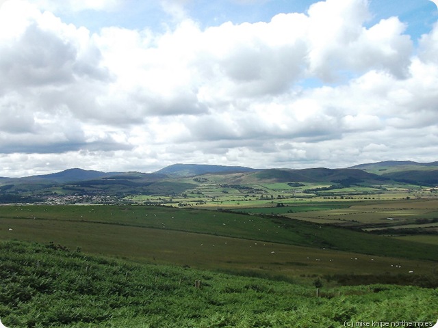 cheviots from dod law