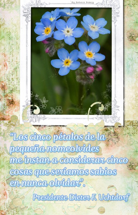 [29set-nomeesqueca-florbyRR-espa%25C3%25B1ol%255B5%255D.jpg]