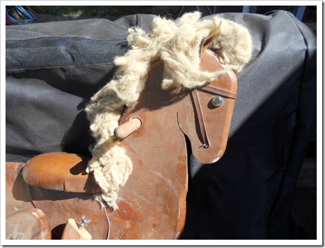 SandyHorse_bef1