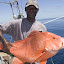 seychelles_05.jpg