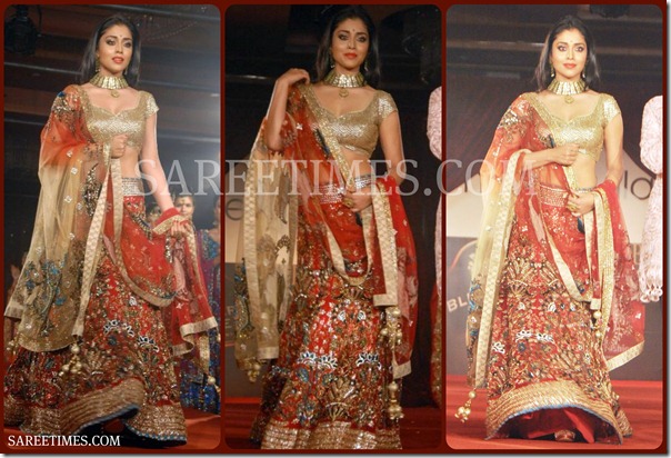 Shiriya_Neeta_Lulla_Saree