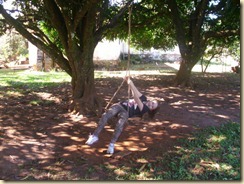 IMG_0204 IMG_0204