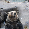 hokkaido_573.jpg