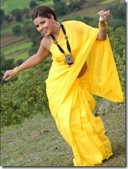 Madhu Sharma_hot in yellow saree