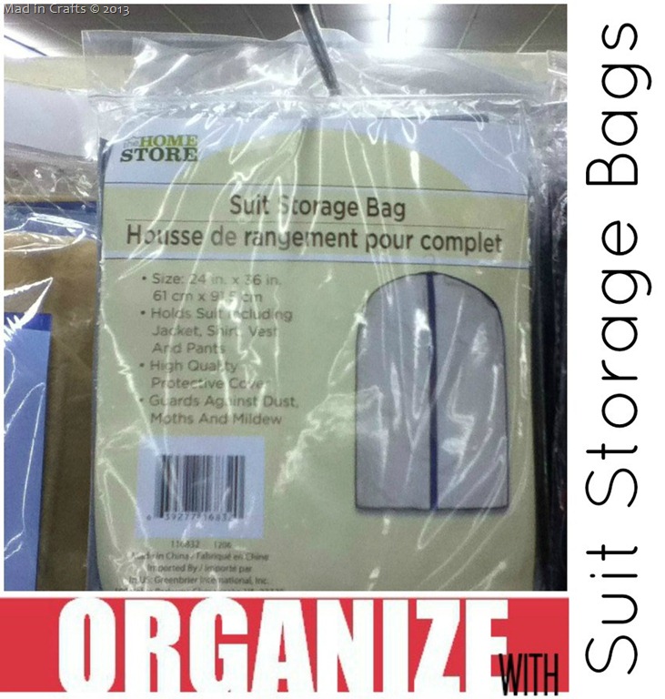 [Dollar-Store-Suit-Storage-Bag.jpg]