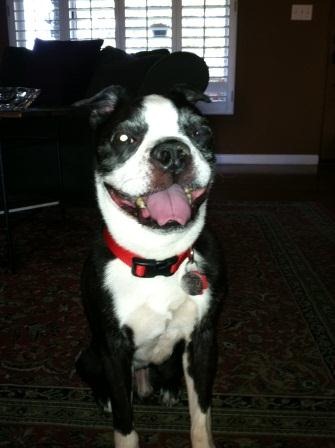 [Winston2011B%255B4%255D.jpg]