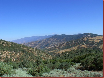 pics 014