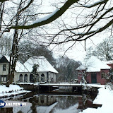 DSCF5627.jpg