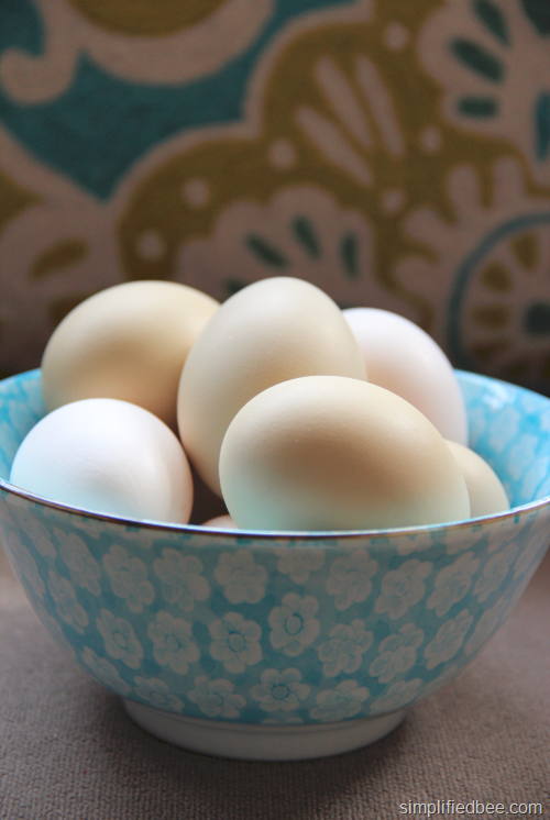 easter_egg_chickens_blue