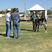superleite2011_dia1507_121.JPG