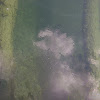 dsc03921.jpg