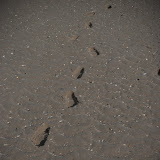 2011-08-15 - 17h42 - 135.jpg