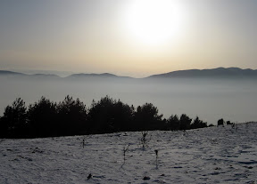 IMG_0365_resize.JPG