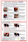 I keep Denise's laminated CPR poster on my wall. I have given this and the rescue kit as gifts to fellow advocates. I keep Denise's laminated CPR poster on my wall. I have given this and the rescue kit as gifts to fellow advocates.