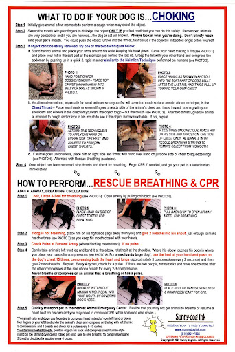 I keep Denise's laminated CPR poster on my wall. I have given this and the rescue kit as gifts to fellow advocates. I keep Denise's laminated CPR poster on my wall. I have given this and the rescue kit as gifts to fellow advocates.