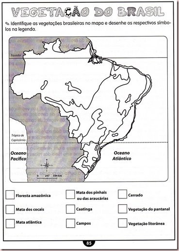 geografia vegetacao do brasil