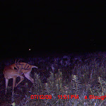 MDGC0025.JPG