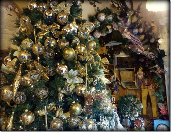 DSC00335 DSC00335