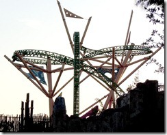 Cheetah Hunt 7