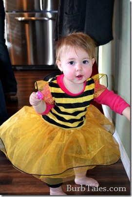 Busy 1 year old bee