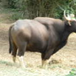 View album