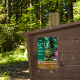 IMG_8891.jpg